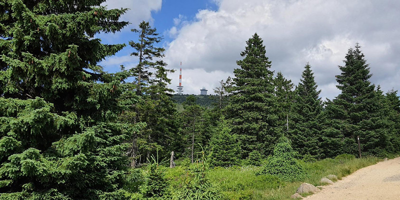 Nationalpark Harz Webseite