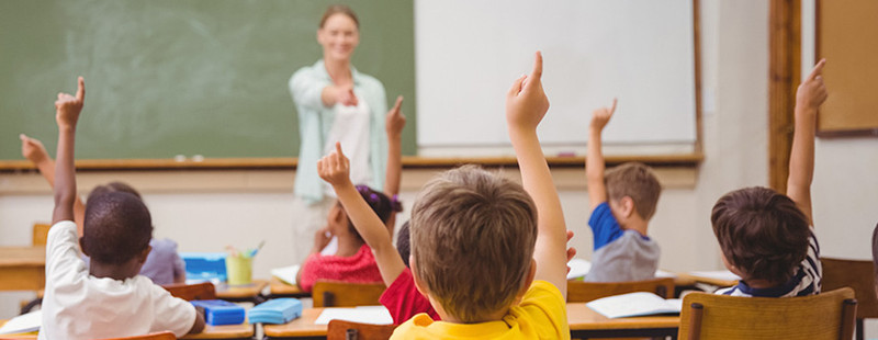 Schüler*innen sitzen im Unterricht und melden sich. 
