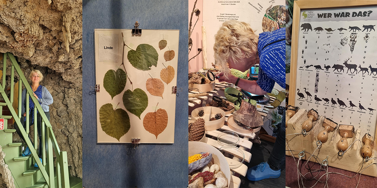 KI generiert: Das Bild zeigt vier verschiedene Szenen: eine Person auf einer Treppe neben einer Felswand, ein Herbarium mit Lindenblättern, eine Person, die sich in einer Ausstellung einige Objekte ansieht, und ein interaktives Display mit Tierspuren. Der Hauptinhalt dreht sich um Natur- und Bildungserlebnisse.