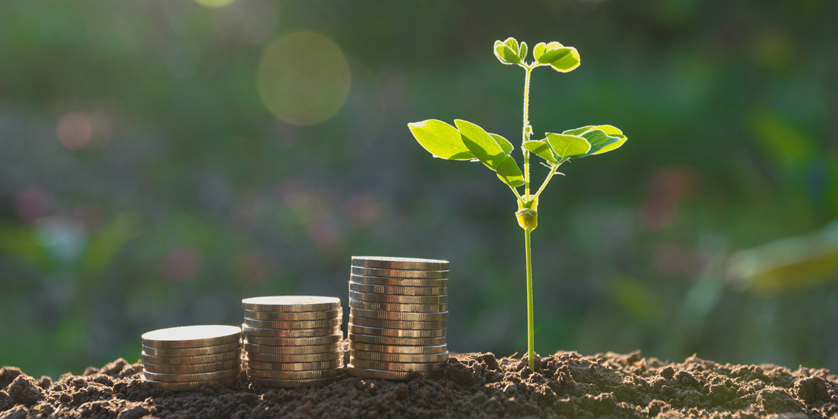 KI generiert: Das Bild zeigt Münzstapel und eine wachsende Pflanze, die aus dem Boden heraus sprießen. Es symbolisiert finanzielle Investitionen und Wachstum.