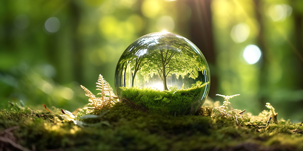 KI generiert: Das Bild zeigt eine gläserne Kugel, die in einem Wald auf einem moosbedeckten Boden liegt und Bäume und Blätter im Inneren der Kugel reflektiert. Die Szene vermittelt eine friedliche und harmonische Atmosphäre in der Natur.