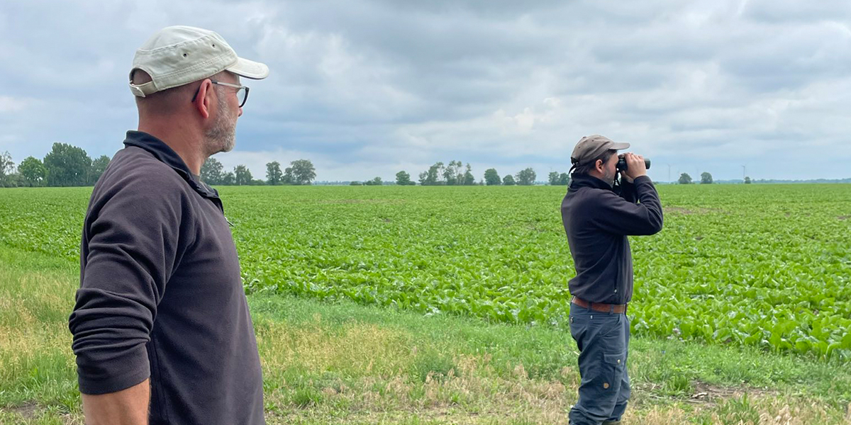 KI generiert: Das Bild zeigt zwei Männer auf einem Feld; einer blickt mit einem Fernglas in die Ferne, während der andere die Landschaft beobachtet. Im Hintergrund ist ein großes, grünes Feld unter einem bewölkten Himmel zu sehen.